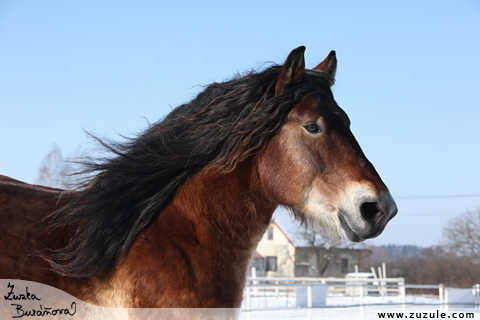 © Zuzana Buráňová